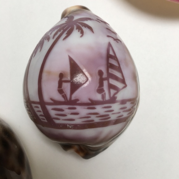 Set of 3 Sea Shells for Home/Office Decorations | Bohemian - Picture 2 of 5